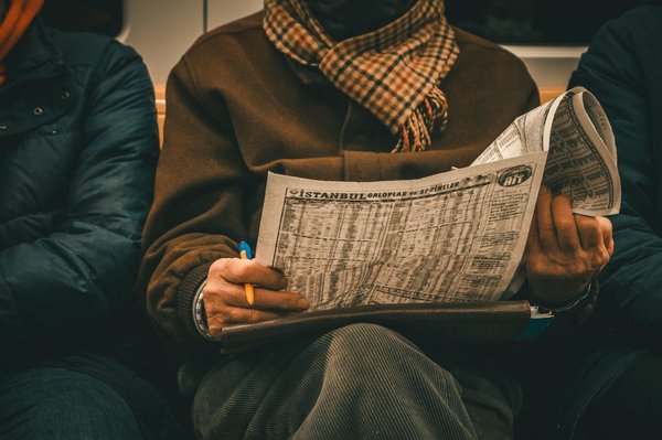 What Are the Environmental Benefits of Rewilding Projects in the UK?